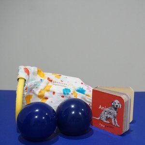 Lovevery Thinker Bundle 11-12 months